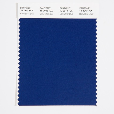 Pantone 19-3943 TCX Swatch Card Bellwether Blue
