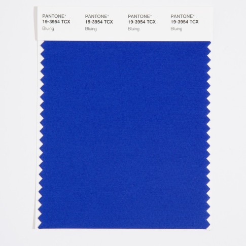 Pantone 19-3954 TCX Swatch Card Bluing