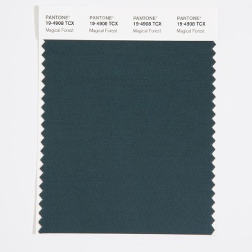 Pantone 19-4908 TCX Swatch Card Magical Forest