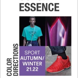Color Essence Sport