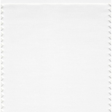 Pantone 11-0601 TCX Swatch Card Bright White
