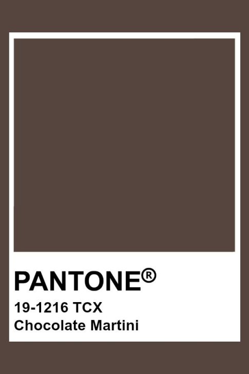 Pantone 19-1216 TCX Swatch Card Chocolate Martini