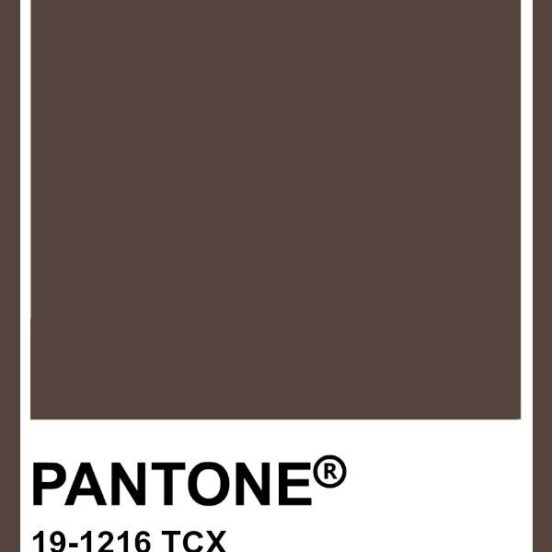 Pantone 19-1216 TCX Swatch Card Chocolate Martini