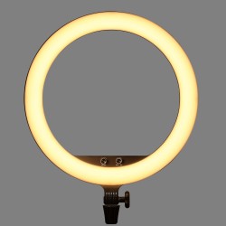 Godox  Bi-Color LED Ring-Light Black 12" LR120B