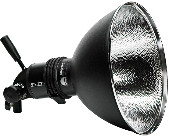 Profoto ProTwin UV 500W with Magnum Reflector, 900719