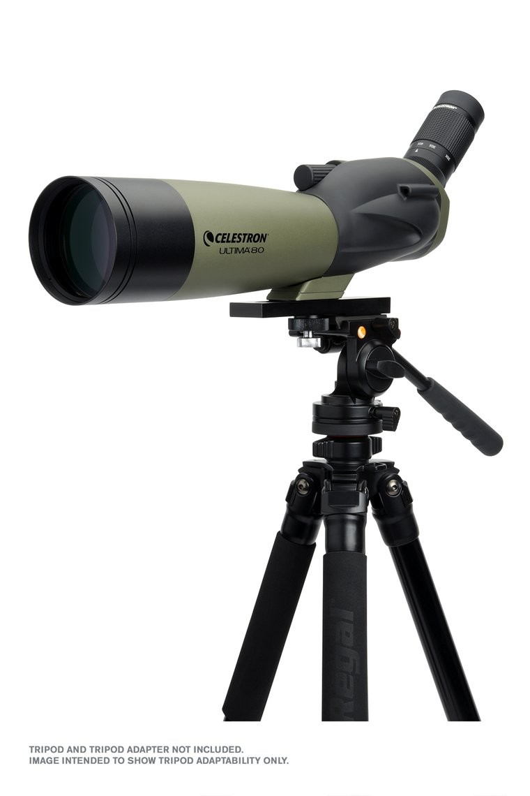Celestron Ultima 80-45 Degree Spotting Scope and Smartphone Adapter Kit Angled Viewing, 52350