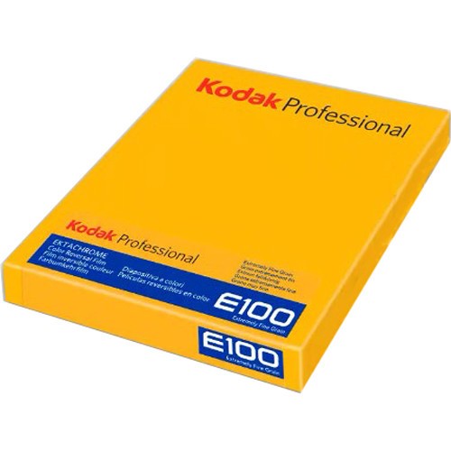 Kodak Professional Ektachrome E100 Color Transparency Film 4 x 5inches 10 Sheets, 8960312