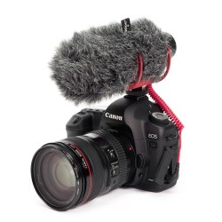 Rode Videomic Go Lightweight on Camera Mount Shotgun Microphone with Rycote Lyre Shock Mount