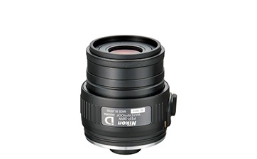 Nikon EDG Fieldscope Eyepiece FEP-38W w/Case, NIFEP-38W