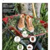 ARS Sutoria Shoe Trends Magazine Subscription