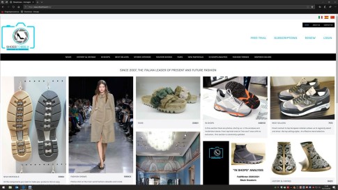 Shoes to See - Bags & Footwear Trends, Colors, Materials & Runways Online Subscription