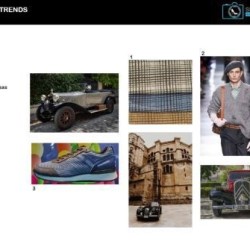 Shoes to See - Bags & Footwear Trends, Colors, Materials & Runways Online Subscription