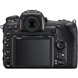 Nikon D500 DSLR Camera with 16-80mm Lens