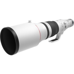 Canon RF 600mm f/4 L IS USM Lens