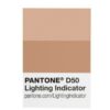 PANTONE LIGHTING INDICATOR Stickers LNDS-1PK-D50