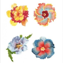 Flowers Vector Designs Book Incl DVD
