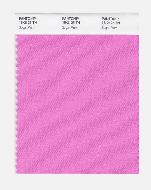 Pantone 16-2125 TN Sugar Plum Nylon Brights Swatch Card