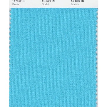 Pantone  14-4530 TN Bluefish Nylon Brights Swatch Card