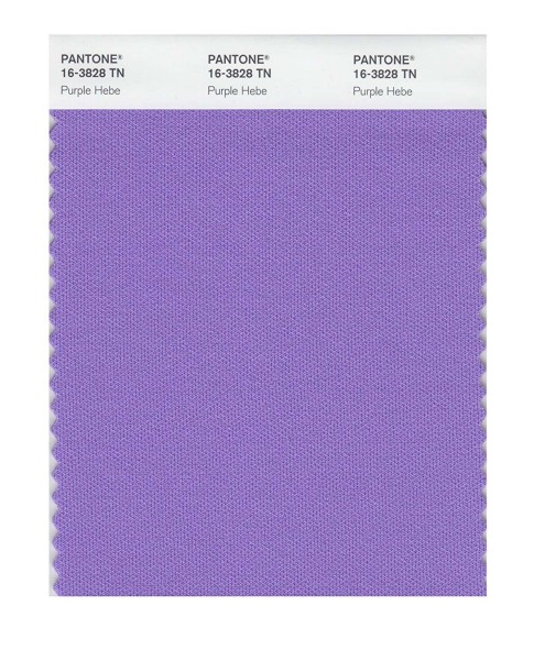 Pantone 16-3828 TN Purple Hebe Nylon Brights Swatch Card