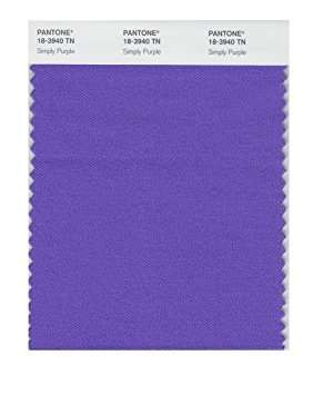 Pantone 18-3940 TN Simply Purple Nylon Brights Swatch Card