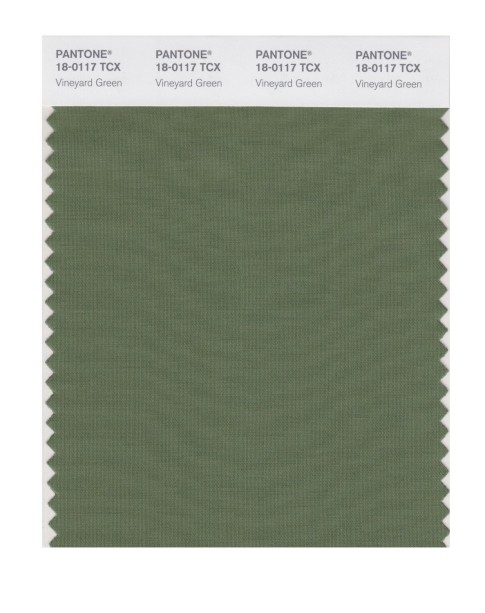 Pantone 18-0117 TCX Swatch Card Vineyard Green