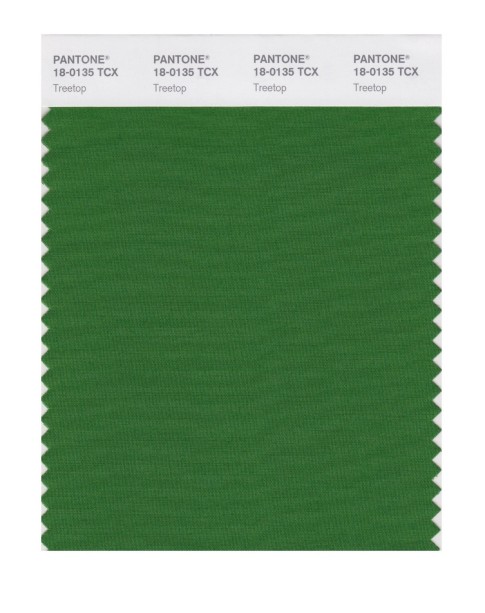 Pantone 18-0135 TCX Swatch Card Treetop