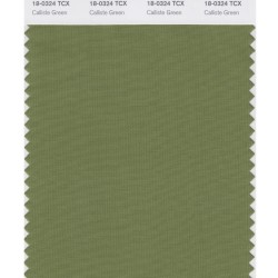 Pantone 18-0324 TCX Swatch Card Calliste Green