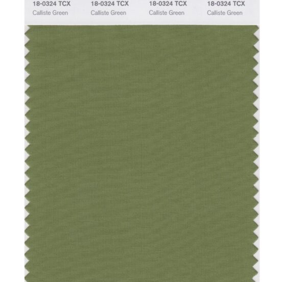 Pantone 18-0324 TCX Swatch Card Calliste Green