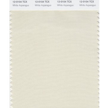 Pantone 12-0104 TCX Swatch Card White Asparagus