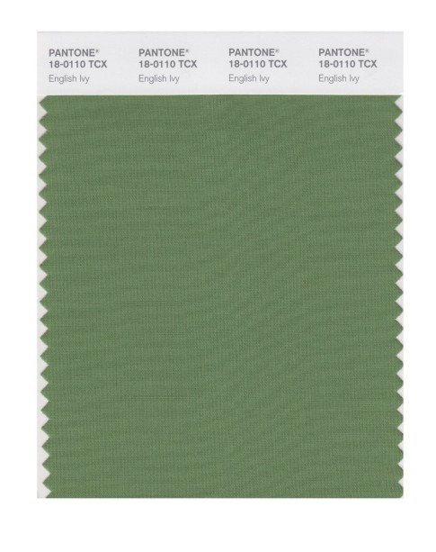 Pantone 18-0110 TCX Swatch Card English Ivy
