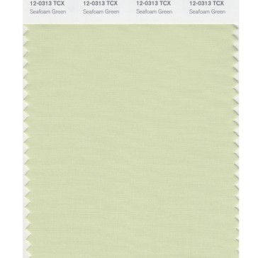 Pantone 12-0313 TCX Swatch Card Seafoam Green
