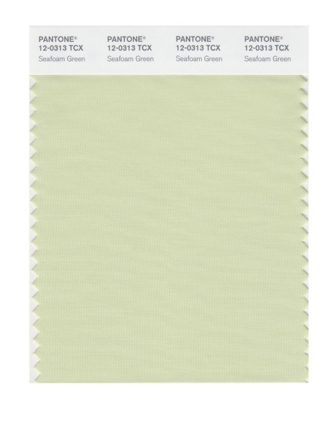 Pantone 12-0313 TCX Swatch Card Seafoam Green