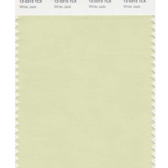 Pantone 12-0315 TCX Swatch Card White Jade