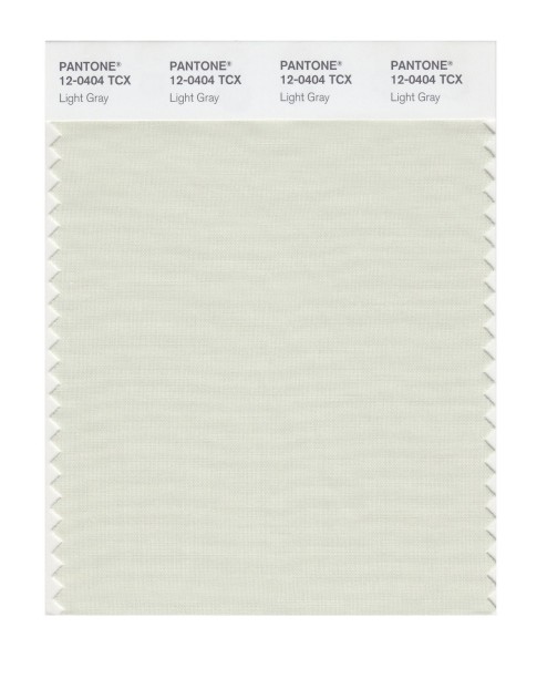 Pantone 12-0404 TCX Swatch Card Light Gray