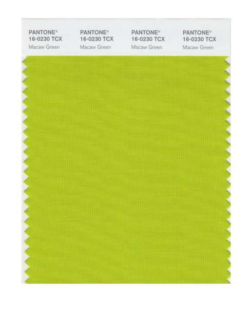 Pantone 16-0230 TCX Swatch Card Macaw Green