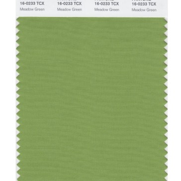 Pantone 16-0233 TCX Swatch Card Meadow Green