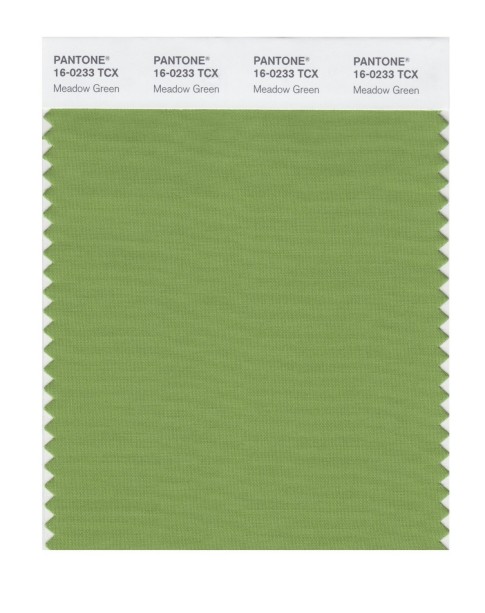 Pantone 16-0233 TCX Swatch Card Meadow Green
