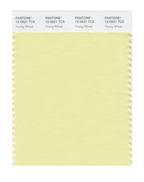 Pantone 12-0521 TCX Swatch Card Young Wheat