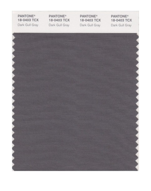 Pantone 18-0403 TCX Swatch Card Dark Gull Gray