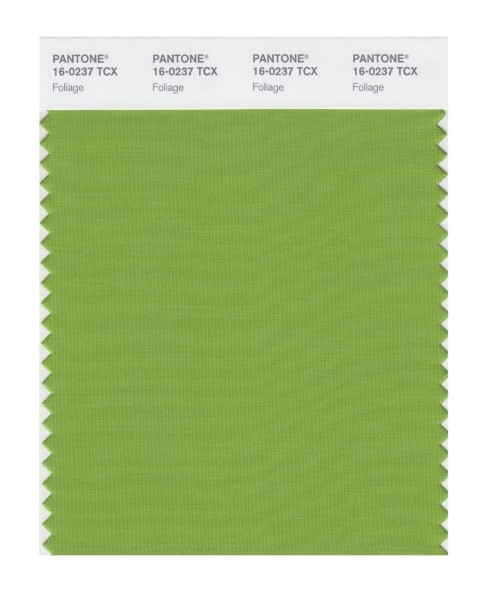 Pantone 16-0237 TCX Swatch Card Foliage