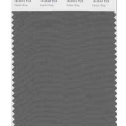 Pantone 18-0510 TCX Swatch Card Castor Gray