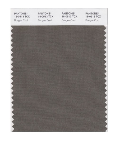 Pantone 18-0513 TCX Swatch Card Bungee Cord