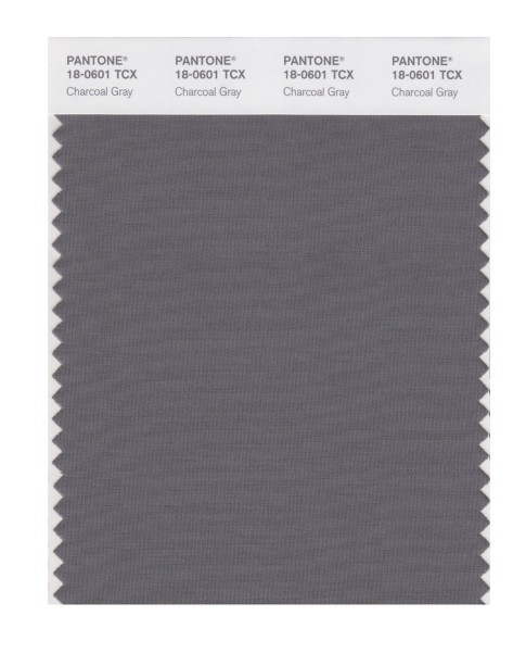 Pantone 18-0601 TCX Swatch Card Charcoal Gray
