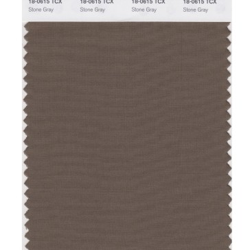 Pantone 18-0615 TCX Swatch Card Stone Gray