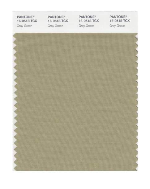 Pantone 16-0518TCX Swatch Card Gray Green