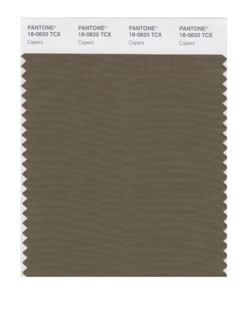 Pantone 18-0820 TCX Swatch Card Capers