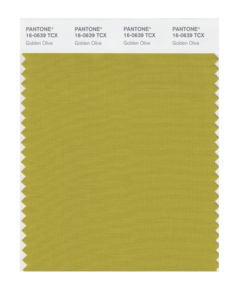 Pantone 16-0639 TCX Swatch Card Golden Olive