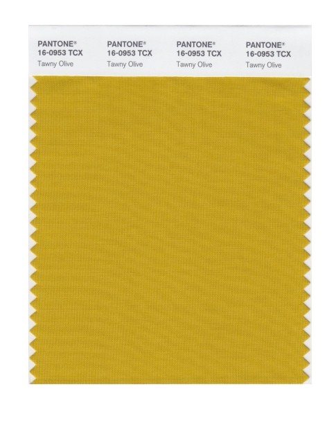 Pantone 16-0953 TCX Swatch Card Tawny Olive