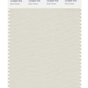 Pantone 12-6204 TCX Swatch Card Silver Green