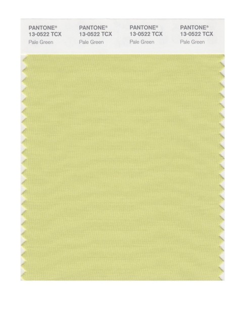 Pantone 13-0522 TCX Swatch Card Pale Green